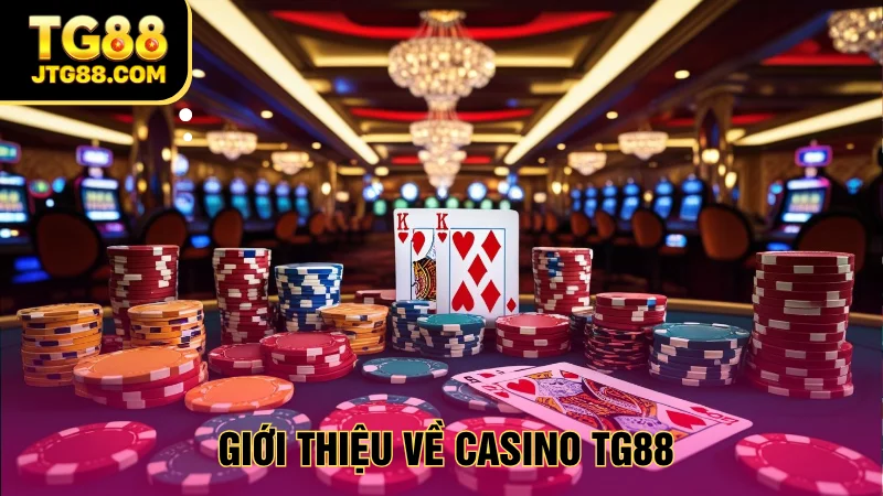 casino tg88 giới thiệu