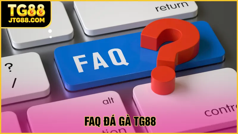 đá gà tg88 faq