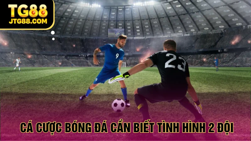 mẹo cá cược bóng đá tg88 hiệu quả đánh giá hai đội